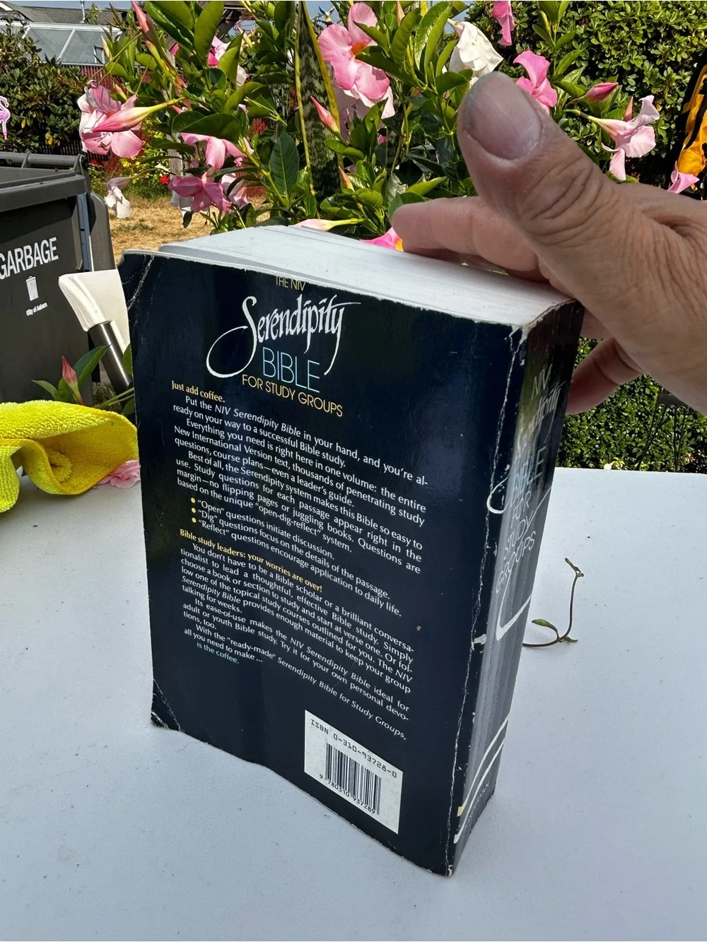 Serendipity Bible for Study Groups - Black